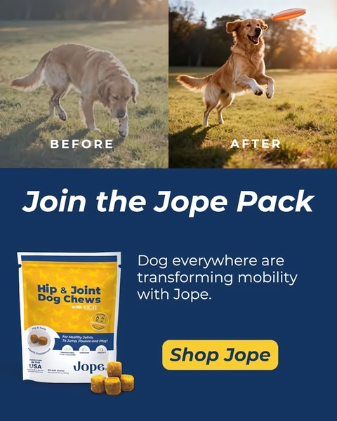 A split-screen comparison showing a dog struggling with movement versus the same dog playing energetically after using the product.